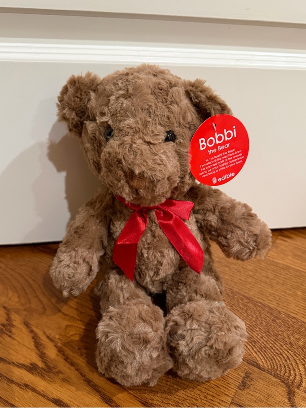 Bobbi the Bear -Plush Brown Teddy Bear with Red Satin Bow